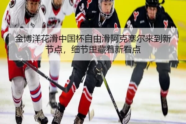 jin-bo-yang-hua-hua-zhong-guo-bei-zi-you-hua-a-ke-sai-er-lai-dao-xin-jie-dian-xi-jie-li-cang-zhe-xin-kan-dian-3-546.jpg